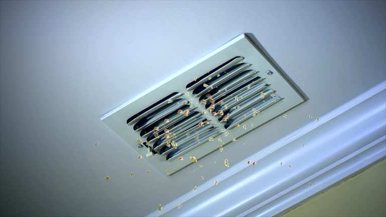 Best Affordable Duct Cleaning Services  in Kennedale, TX